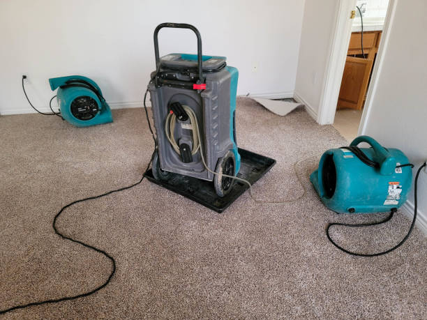 Best Carpet water damage restoration  in Monahans, TX