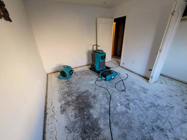 Water damage restoration experts in TX