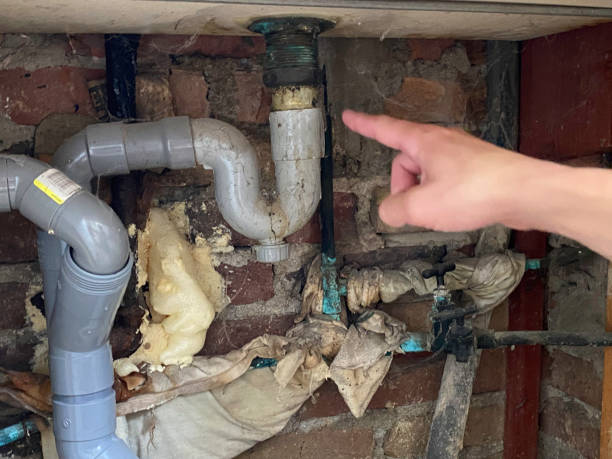 Best Water damage restoration experts  in Monahans, TX